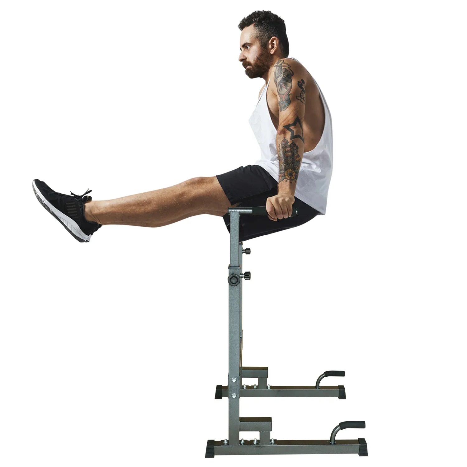 Dip And Leg Raise Stand