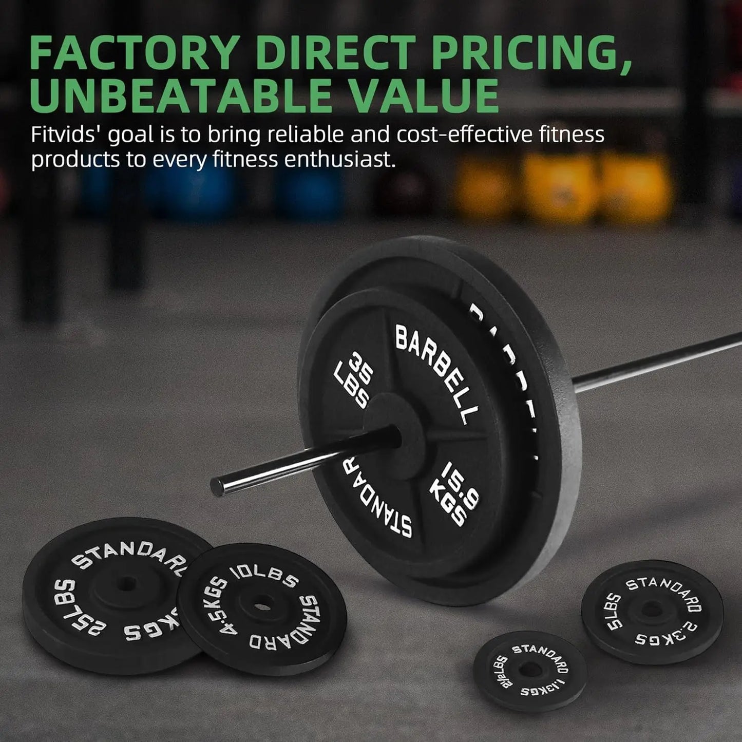 Standard 1-Inch Barbell Weight Plates 2.5–45LB | Home Gym